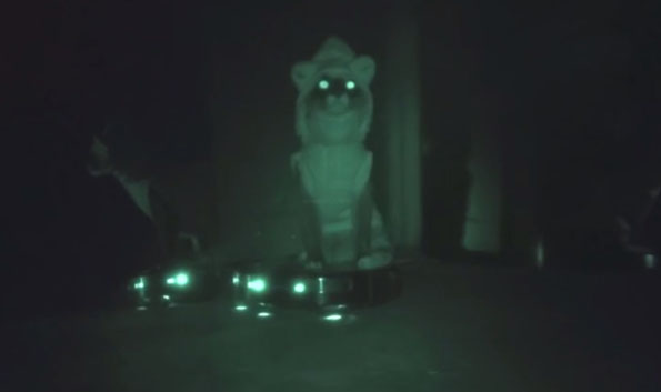 Cat In A Shark Costume Riding A Roomba AT NIGHT Incredible Things