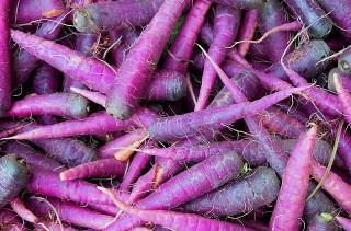 WTF Purple Carrots?!