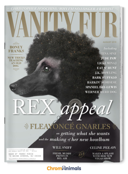 See Popular Magazines Reimagined As Dog Magazines