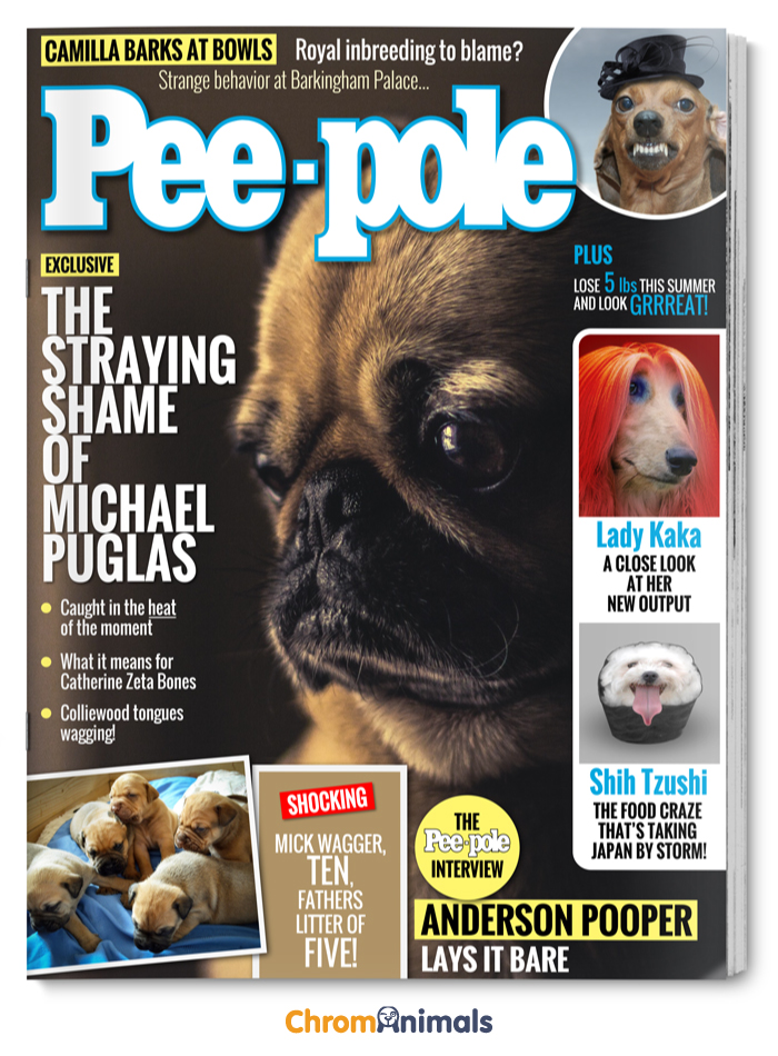 See Popular Magazines Reimagined As Dog Magazines
