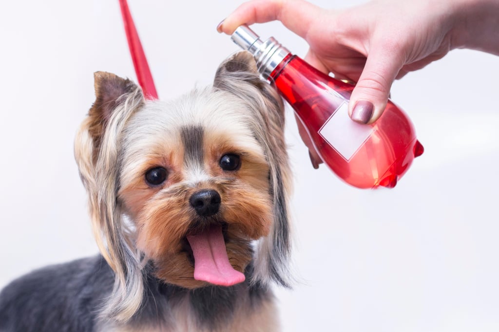 Small dog being sprayed with perfume for dogs.