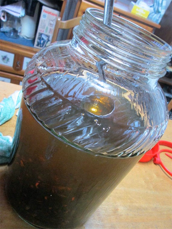 wasp-vodka-3