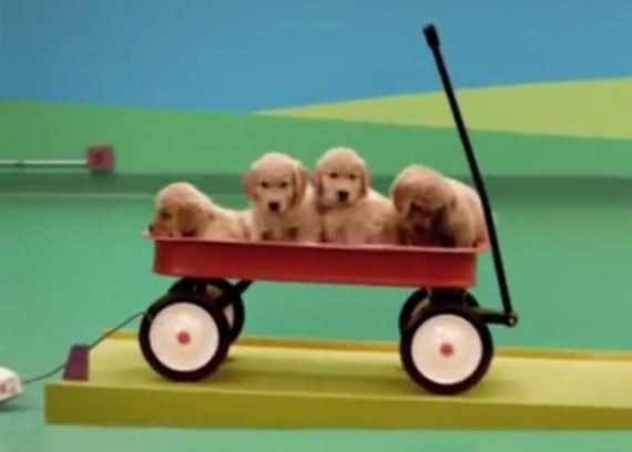 Pups Run This Rube Goldberg Machine