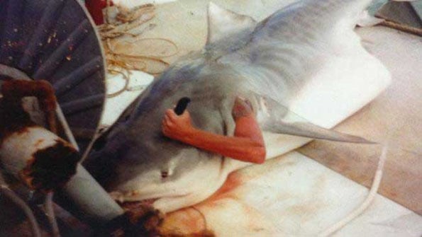 man-cuts-himself-out-of-shark-1