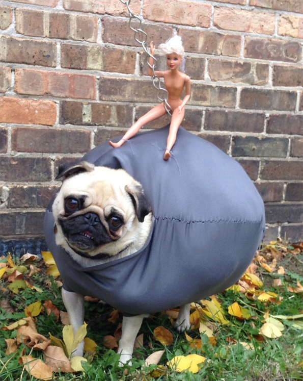 Pug Wrecking Ball Halloween Costume