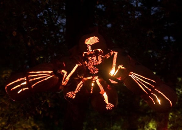 pumpkin-dinosaur-3
