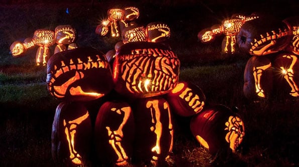 pumpkin-dinosaur-5