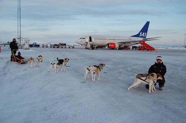 dog-sled-taxi-cab-2