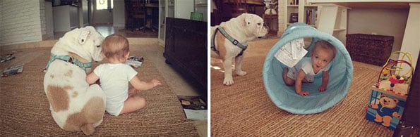 a-girl-and-her-dog-rebecca-leimbach-3