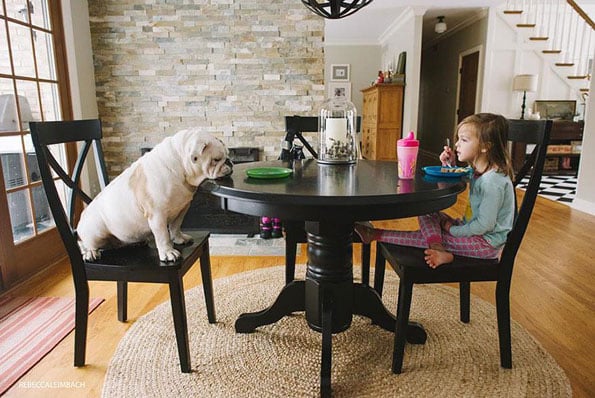a-girl-and-her-dog-rebecca-leimbach-5