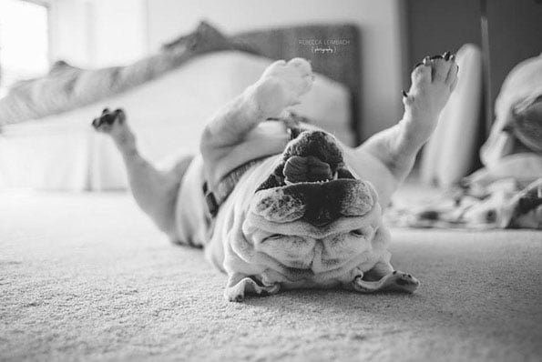 a-girl-and-her-dog-rebecca-leimbach-8