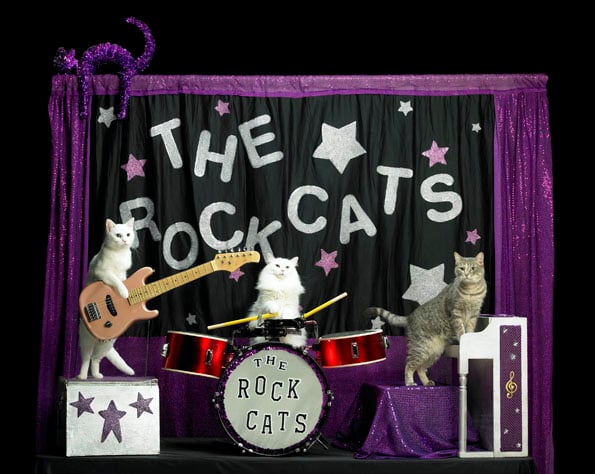 astro-cats-cat-circus-2