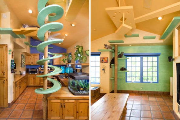 cat-house-renovation-1