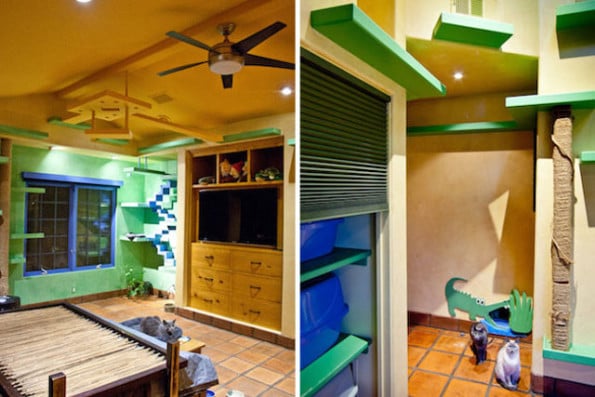 cat-house-renovation-3