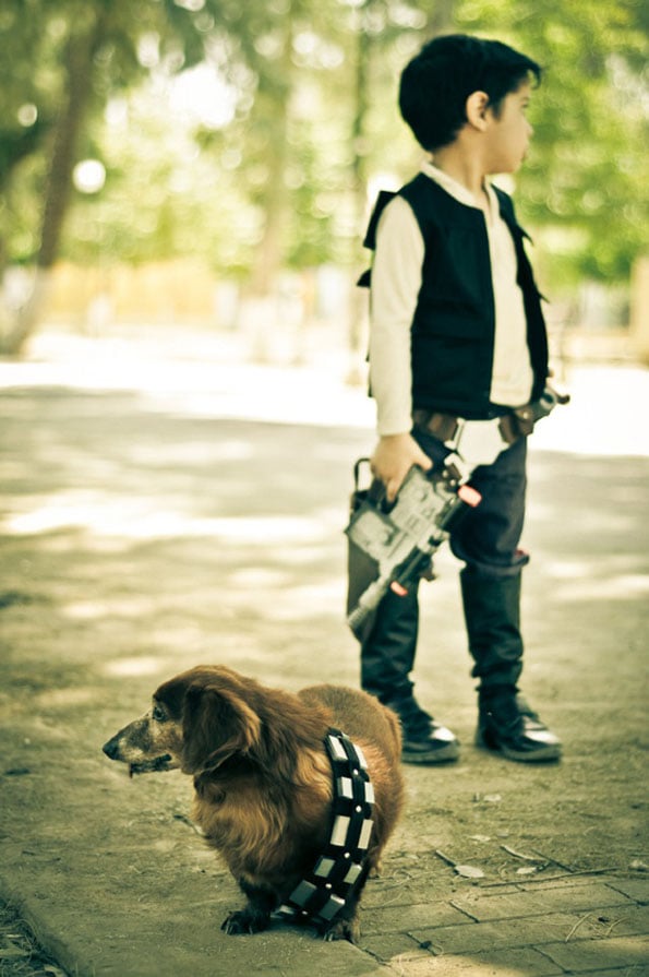 han-solo-boy-chewbacca-dog-5