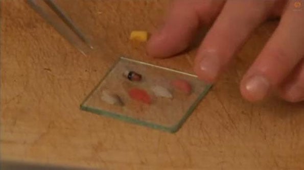 tiny-sushi-1