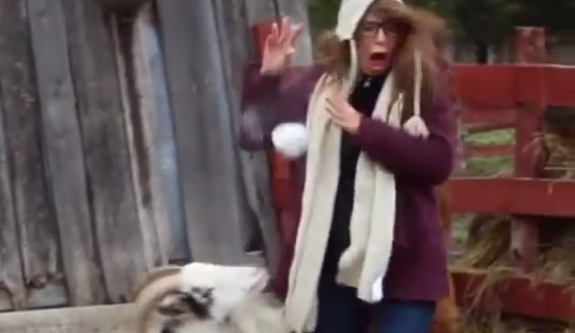 goat-sneeze-scares-girl-2
