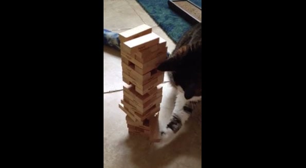 cat-jenga-1