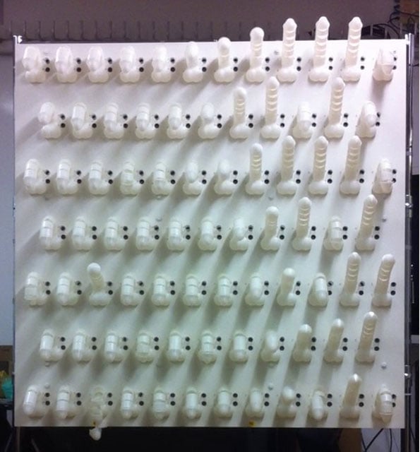 penis-wall-1