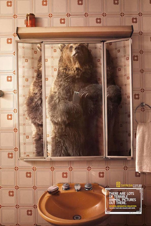animal-selfies-national-geographic-2