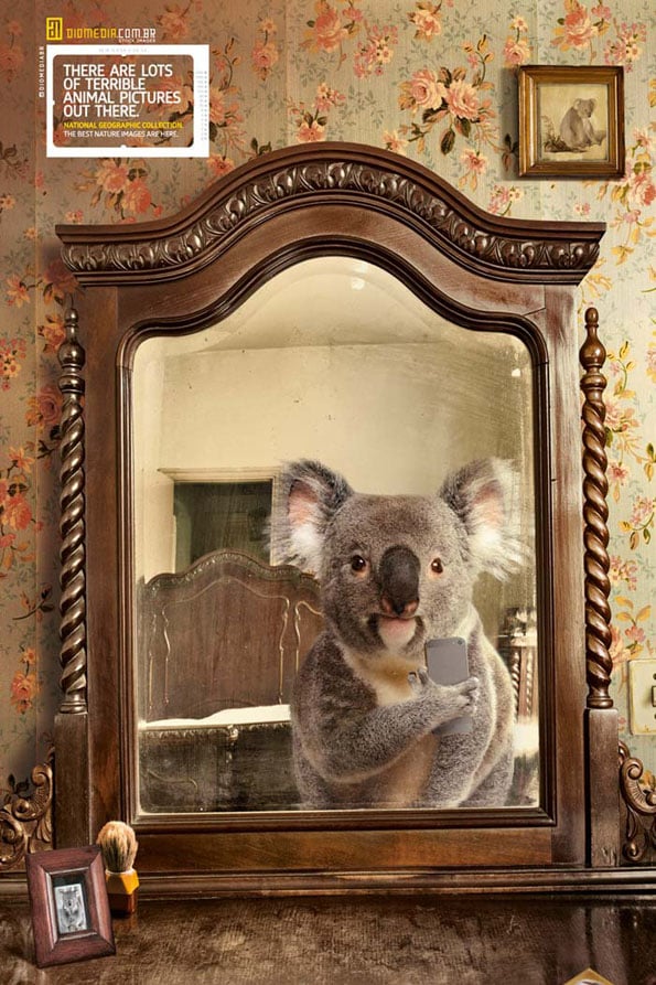 animal-selfies-national-geographic-4