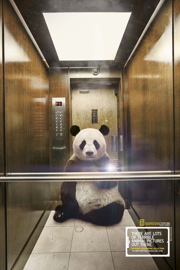 animal-selfies-national-geographic-5