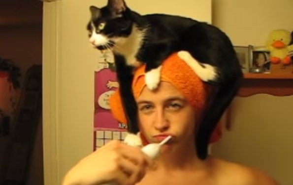 cat-lady-head-morning-routine-1