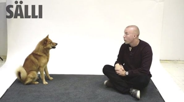 magician-barks-at-dogs-1