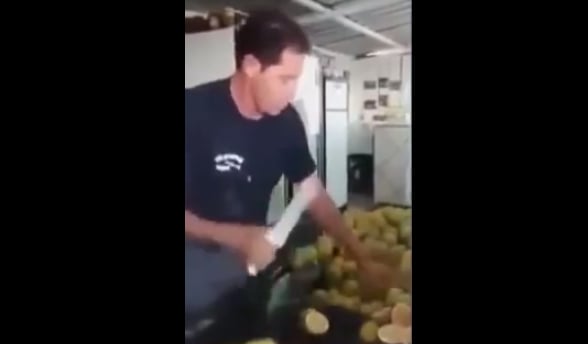 real-life-fruit-ninja