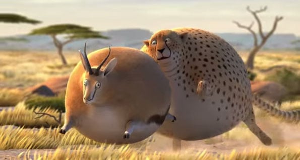 rollin-wild-round-animals