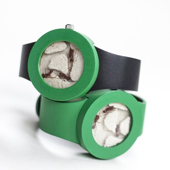 ant-watch-2