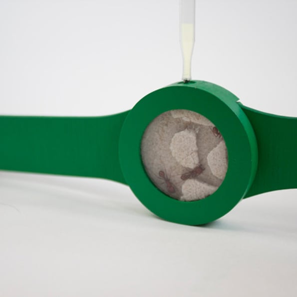 ant-watch-3