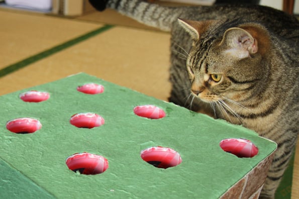 cat-whack-a-mole-3