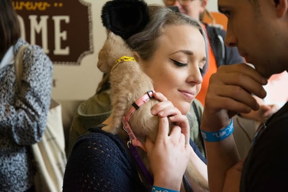 catconLA-6