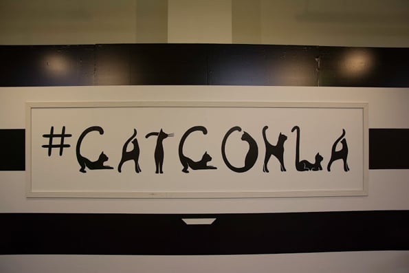 catconLA-8