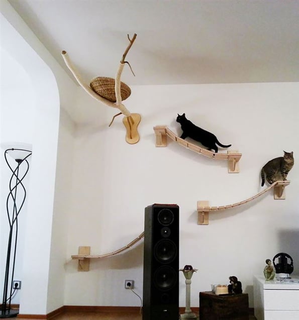 cat-playground-10