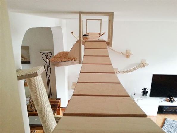 cat-playground-3