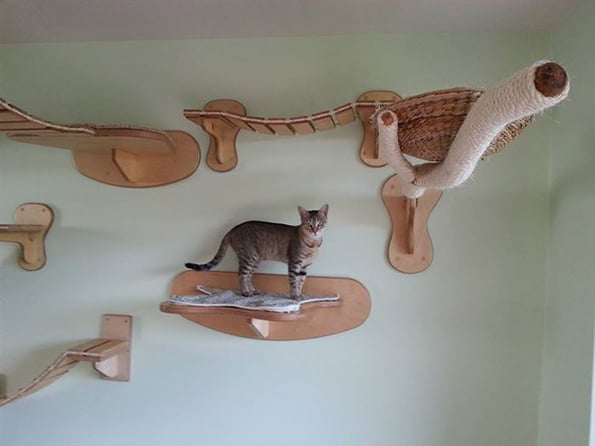 cat-playground-5
