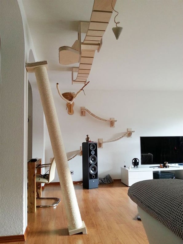 cat-playground-8