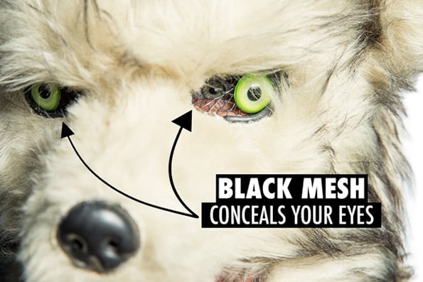 animal-masks-1