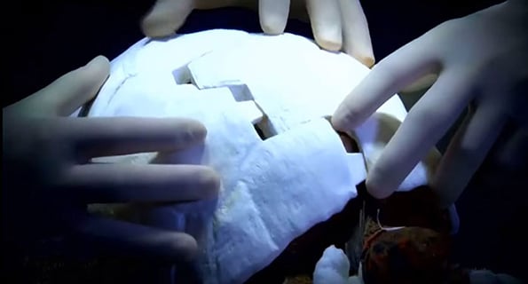 tortoise-3d-printed-shell-freddy-3