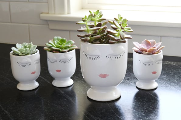 face-vase