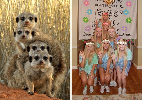 sorority girls poses