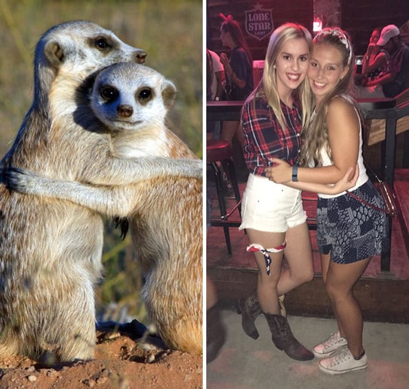 sorority girlss