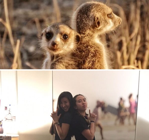 sorority girls pose like meerkatt