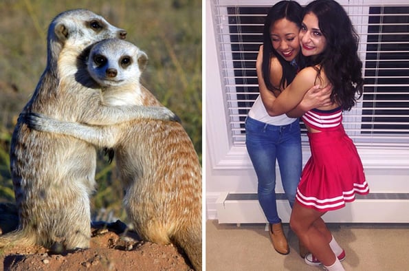 sorority girls pose like meerka