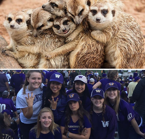 sorority girls pose like me