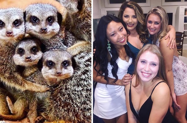 sorority girls pose like