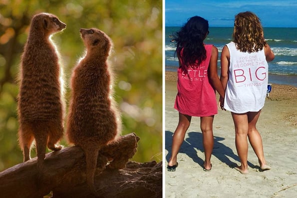 sorority girls pose