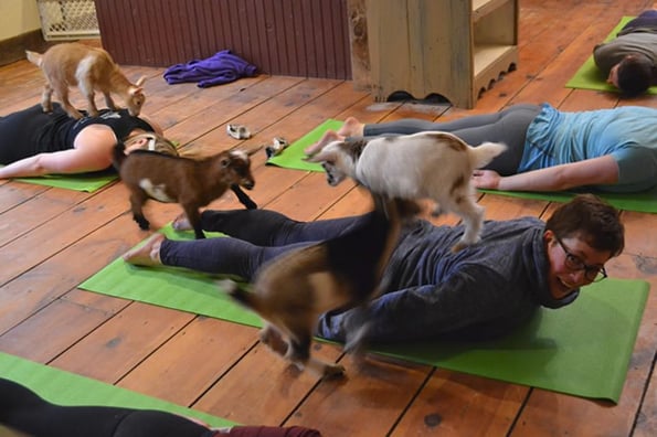 The Best Kind Of Yoga